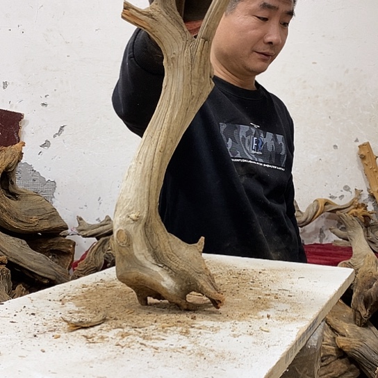 纯***合柏木我们都是好孩子