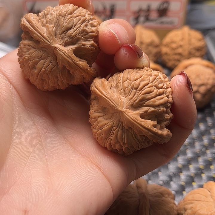 种****鹏文玩核桃把件40白狮子
