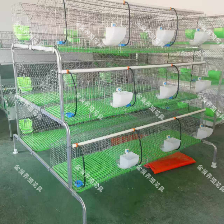 热镀锌阶梯母兔笼养殖专用加粗加密免清粪设计子母笼兔笼兔子笼子