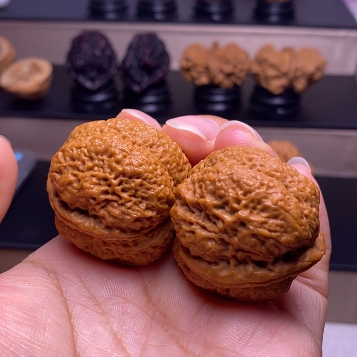 文玩核桃把件虎丘蚂蚱开背金蟾王53