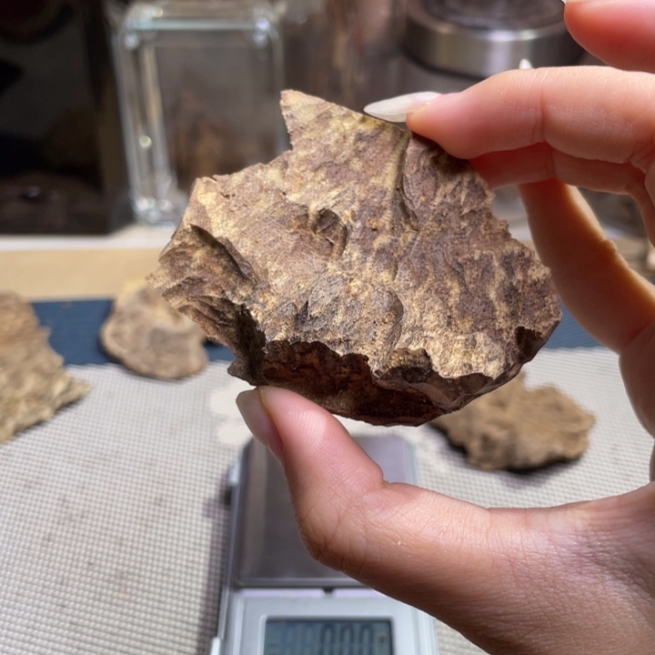 一***白沉香海南大山淳化老顶