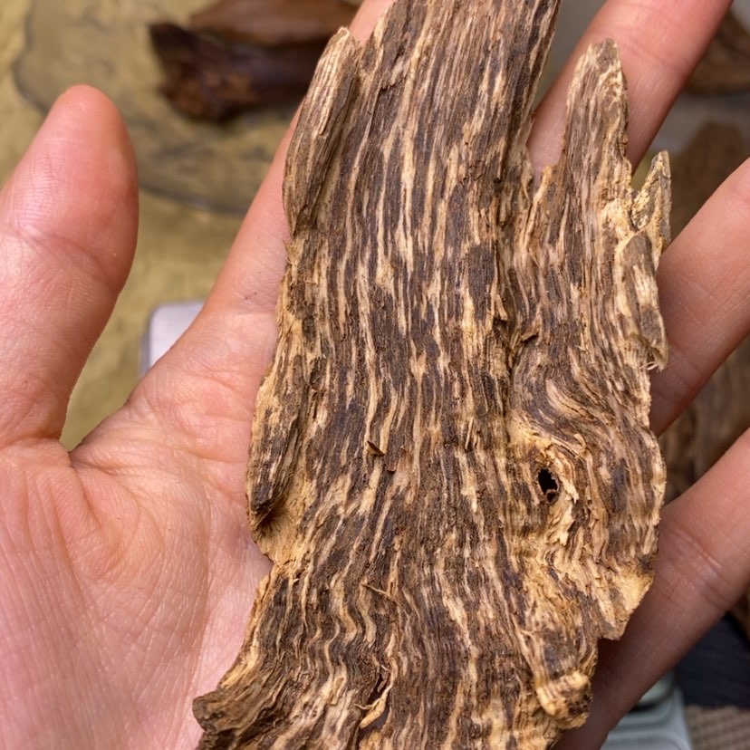 【闪购商品】香榧木馨*橙沉水9克