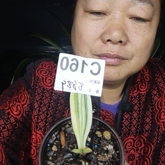 完全开放0000000001