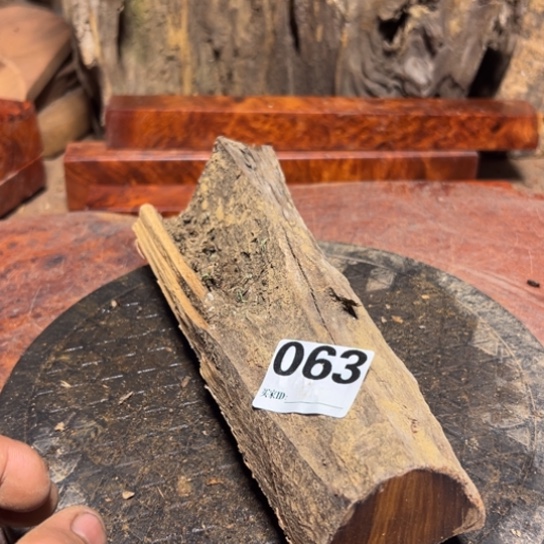 大果紫檀（缅甸花梨）