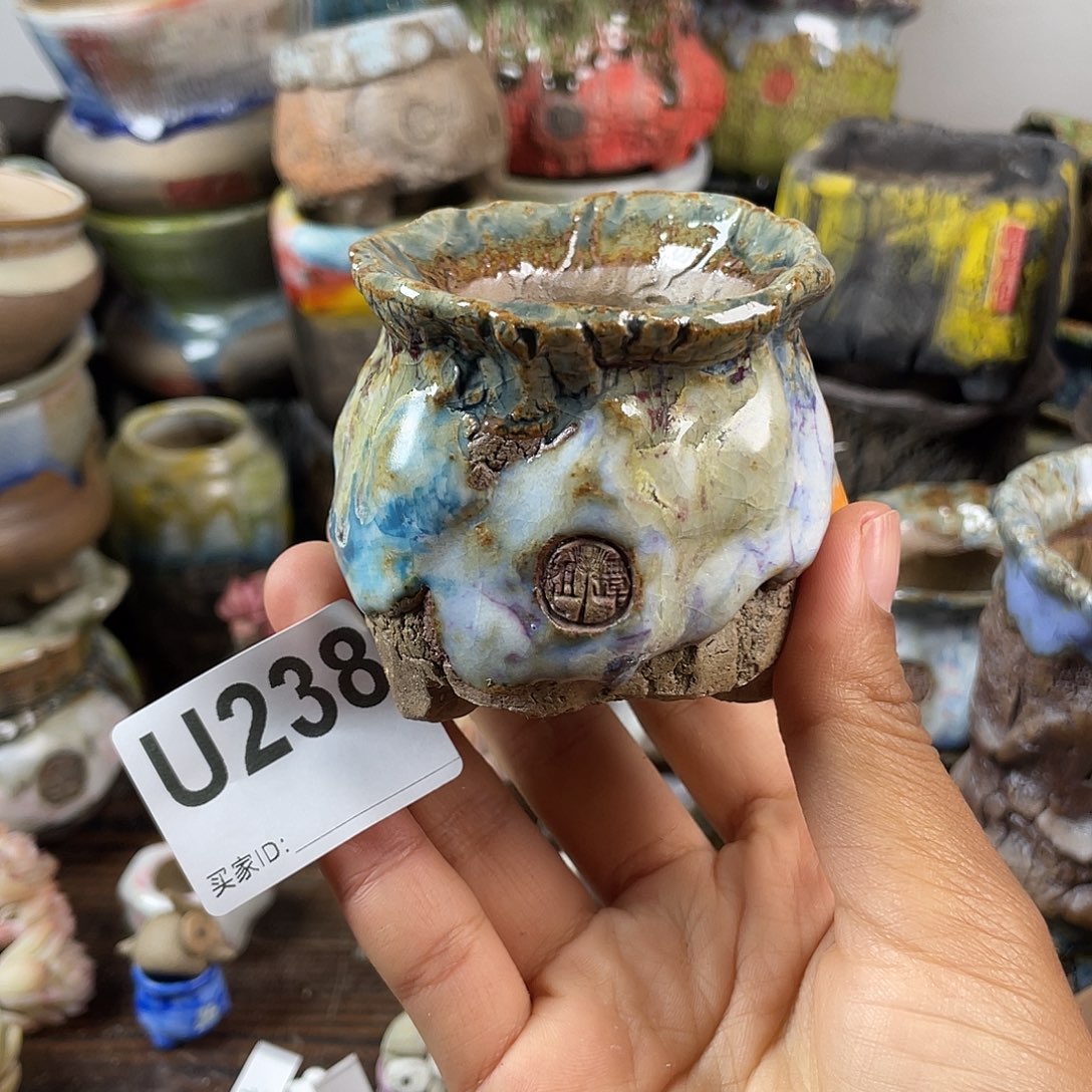 默认微次 跨年福利 坛子姐花盆