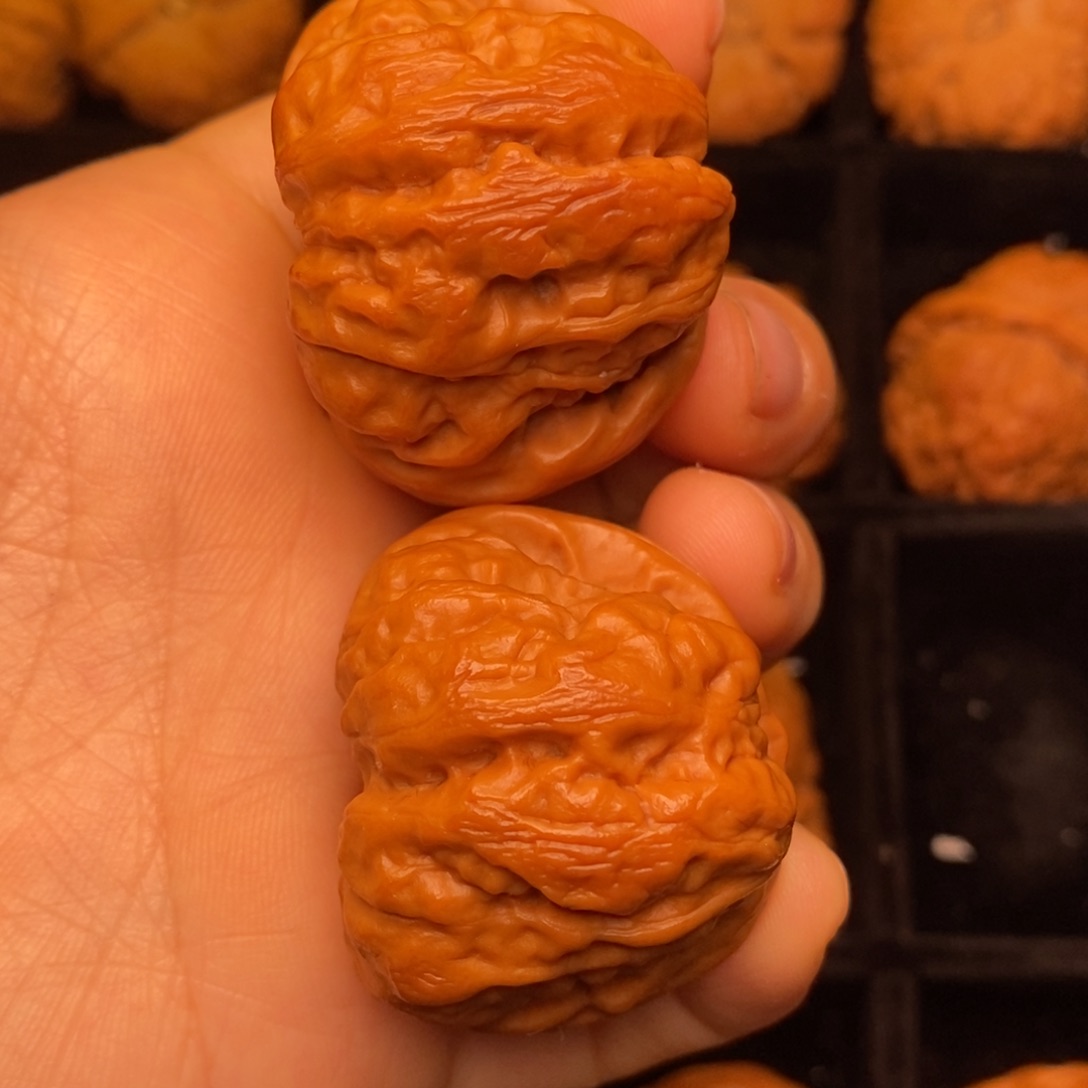 秦岭野生文玩核桃