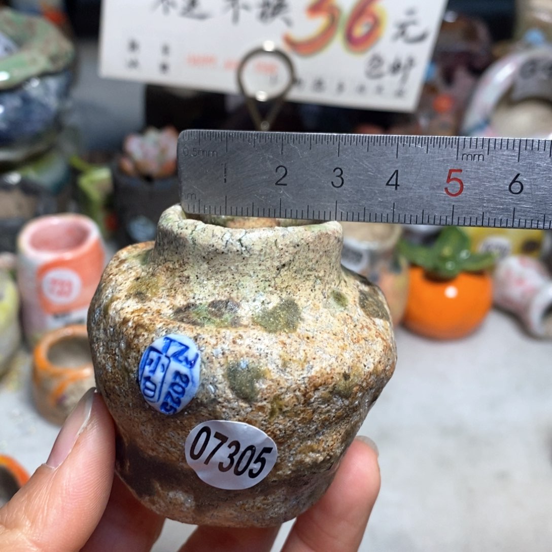 拍3送一个小礼物元旦快乐花盆