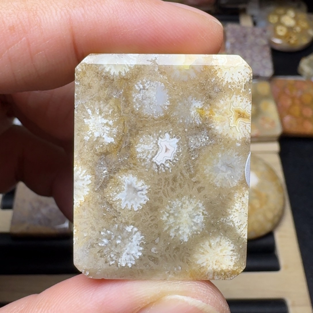 硅化玉未镶嵌纯天然色有机玉石保真色