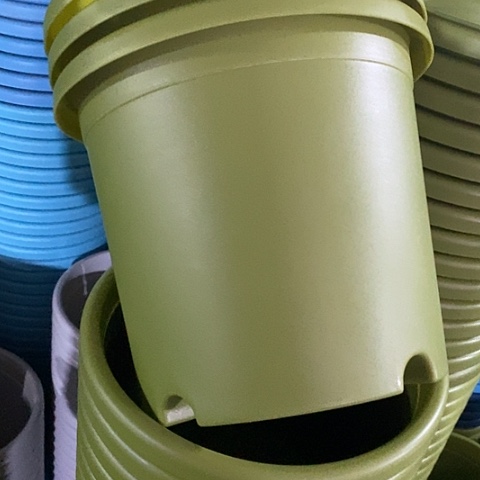 树脂四季4号果绿无托8个特价