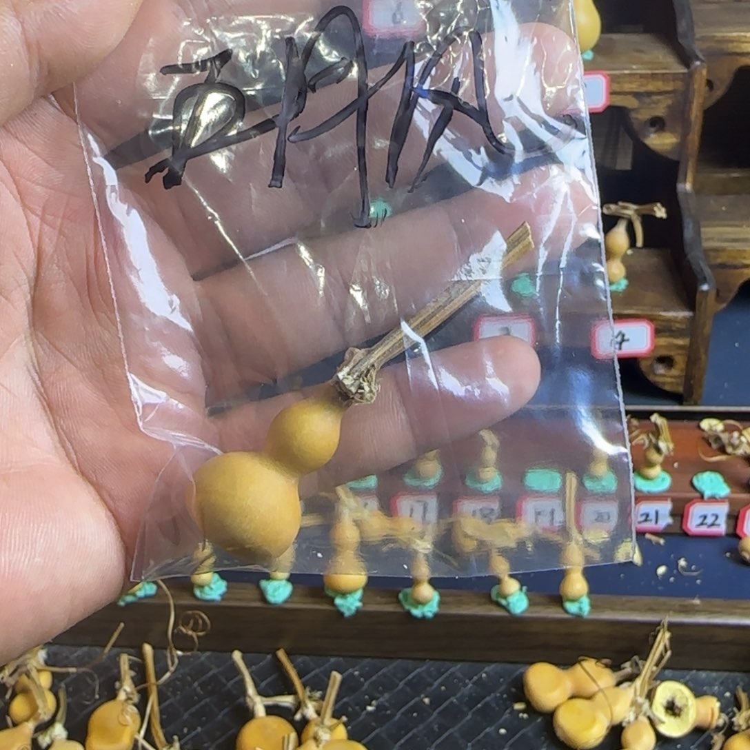 五**风我是一只小小鸟地域鬼的人生