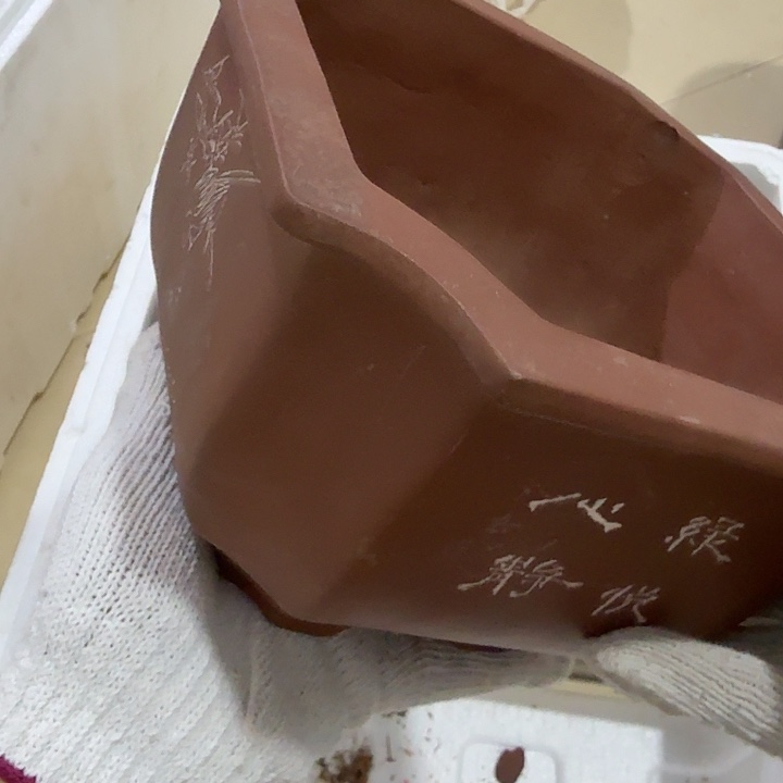 木***哥扇子吃h好家伙不斤斤计较你姐姐