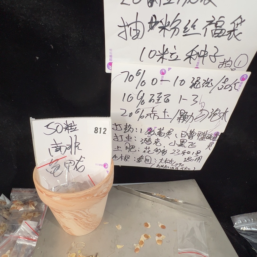 布****多肉植物专拍植物不退换 一物一拍 634