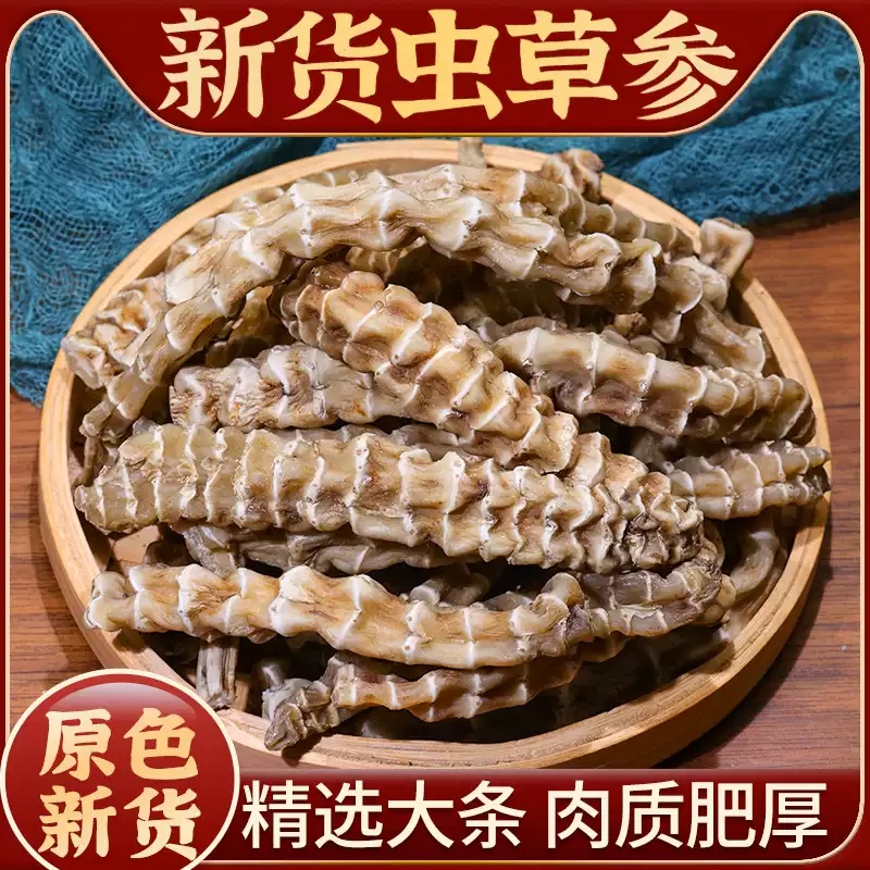 高海拔虫草参地参干条可煲汤泡酒营养丰富