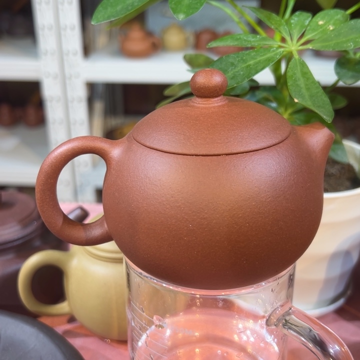 紫砂茶壶紫泥西施260cc