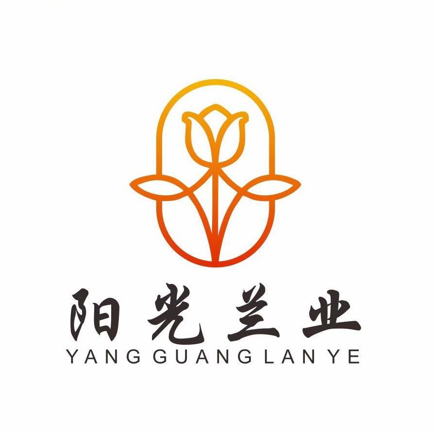 【阳光兰业】一物一拍蝴蝶兰 