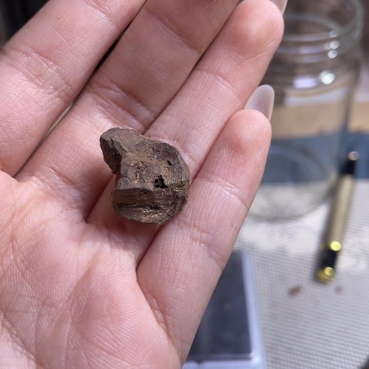 雷***香料越南九分沉包头碎熏香料0.6克