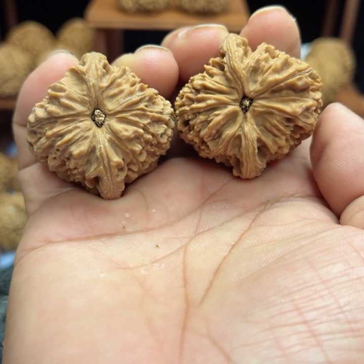 完全开放云***地南疆石