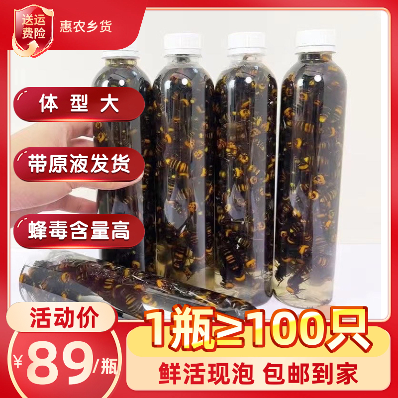 金环虎头蜂现抓现泡带原液发货诱蜂水