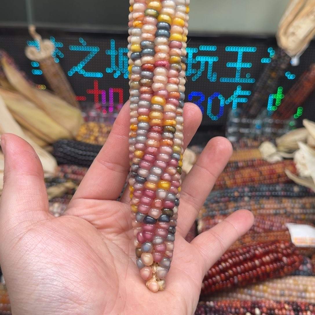 柏香籽/百香籽吊坠?***面