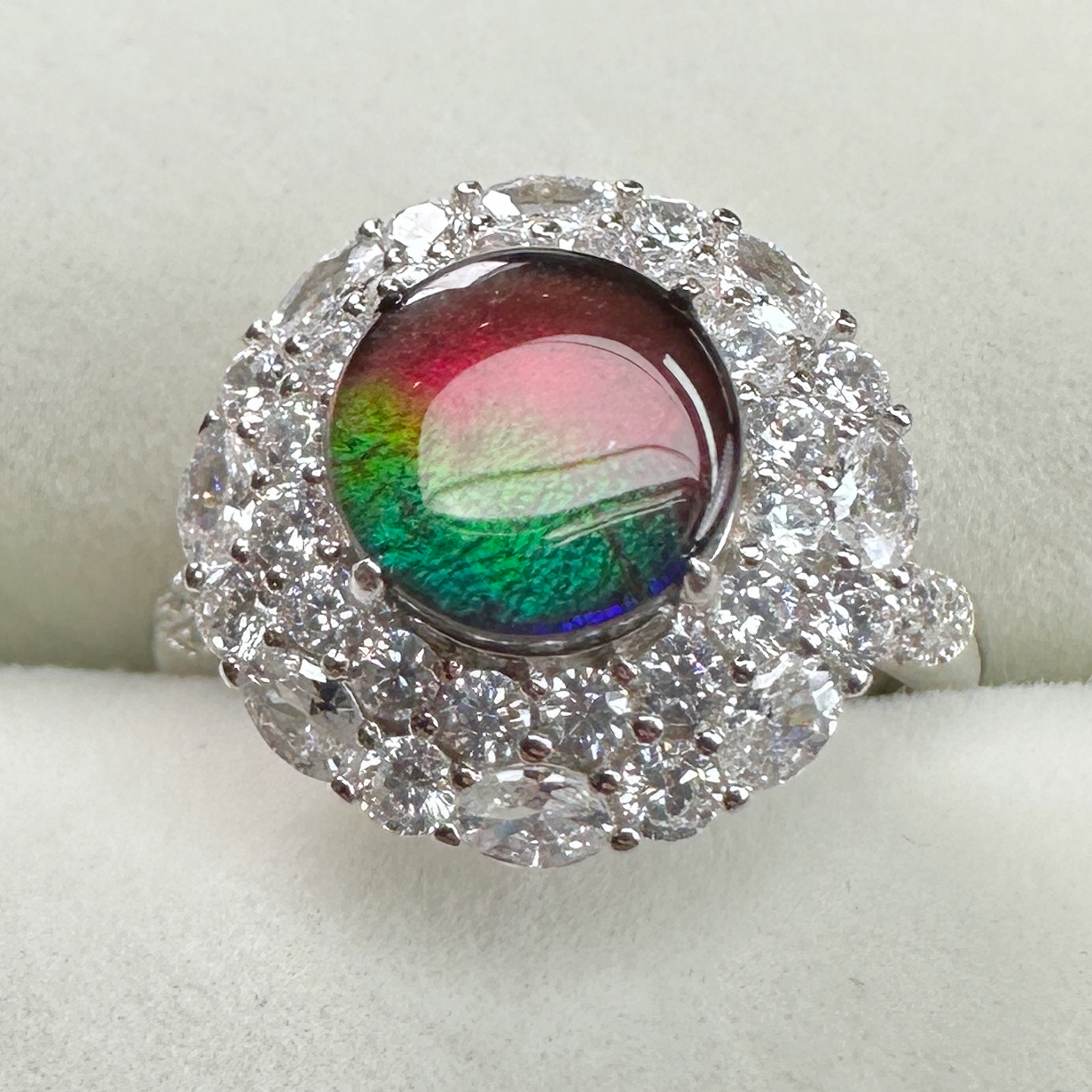 【斑彩】8-15mm 加拿大 N-7 JZ-L  贝壳创意饰品L18