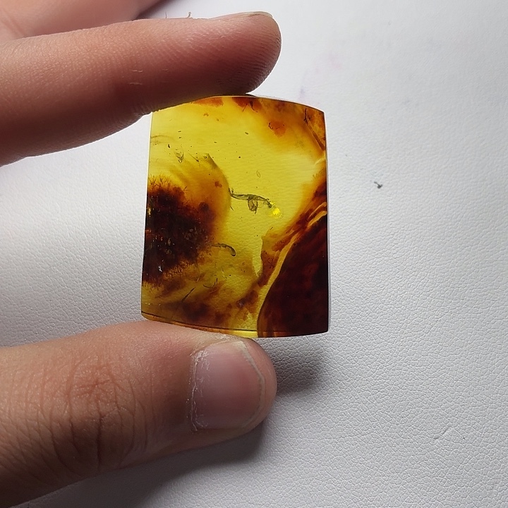 琥珀未镶嵌裸石43