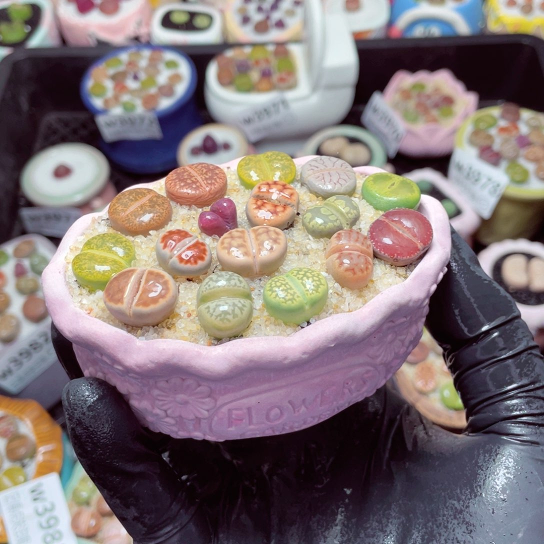 w3986-新年快乐，精美好看盆栽带盆带土