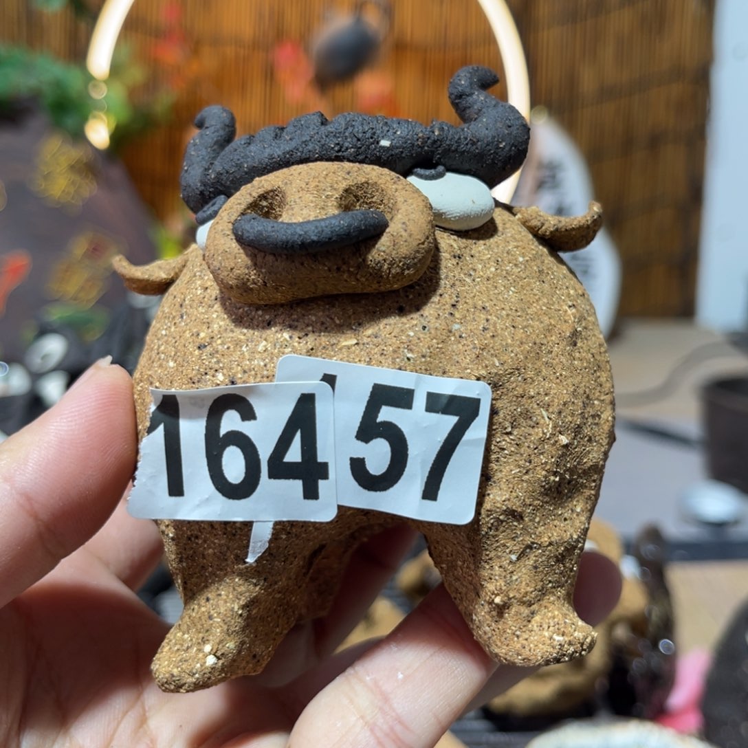 木村信弘柴烧保平