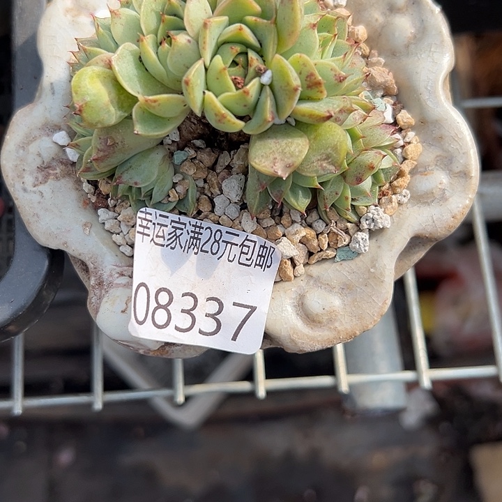 王***.幸运的是我还在努力幸运