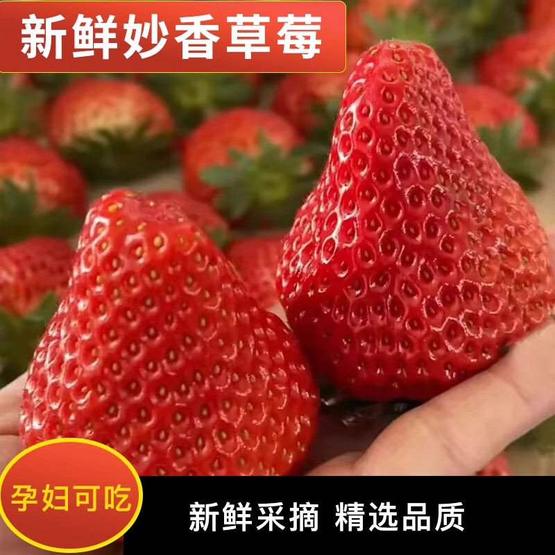 【空运包邮】头茬奶油大草莓产地直发-次日达