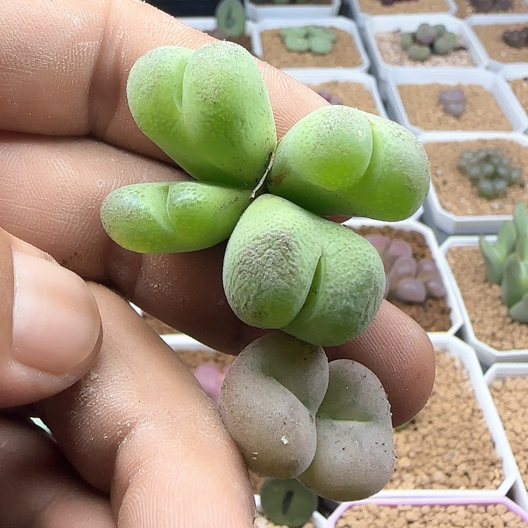 哈哈哈哈哈哈哈47179