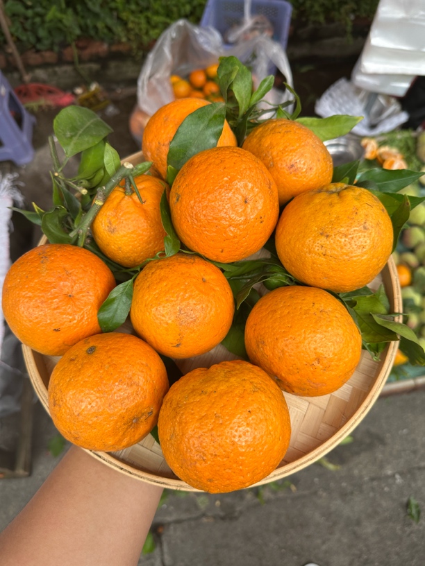 云南沃柑  集市现收 应季水果