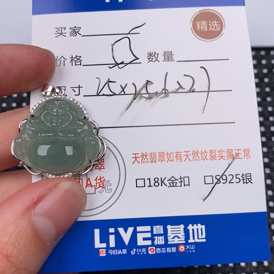 翡翠银S925镶嵌颈饰