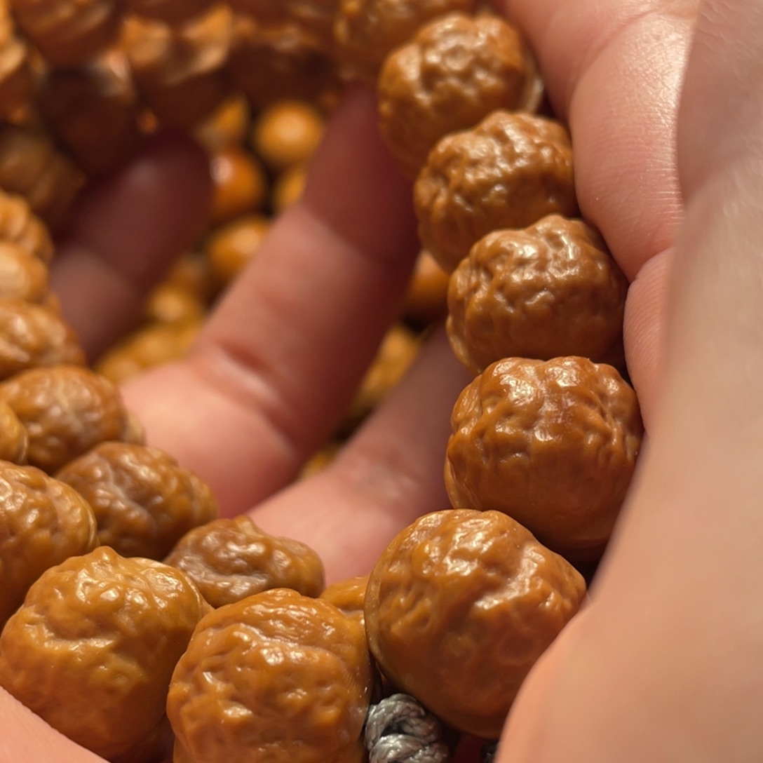 云***境核桃猴头核桃产宗