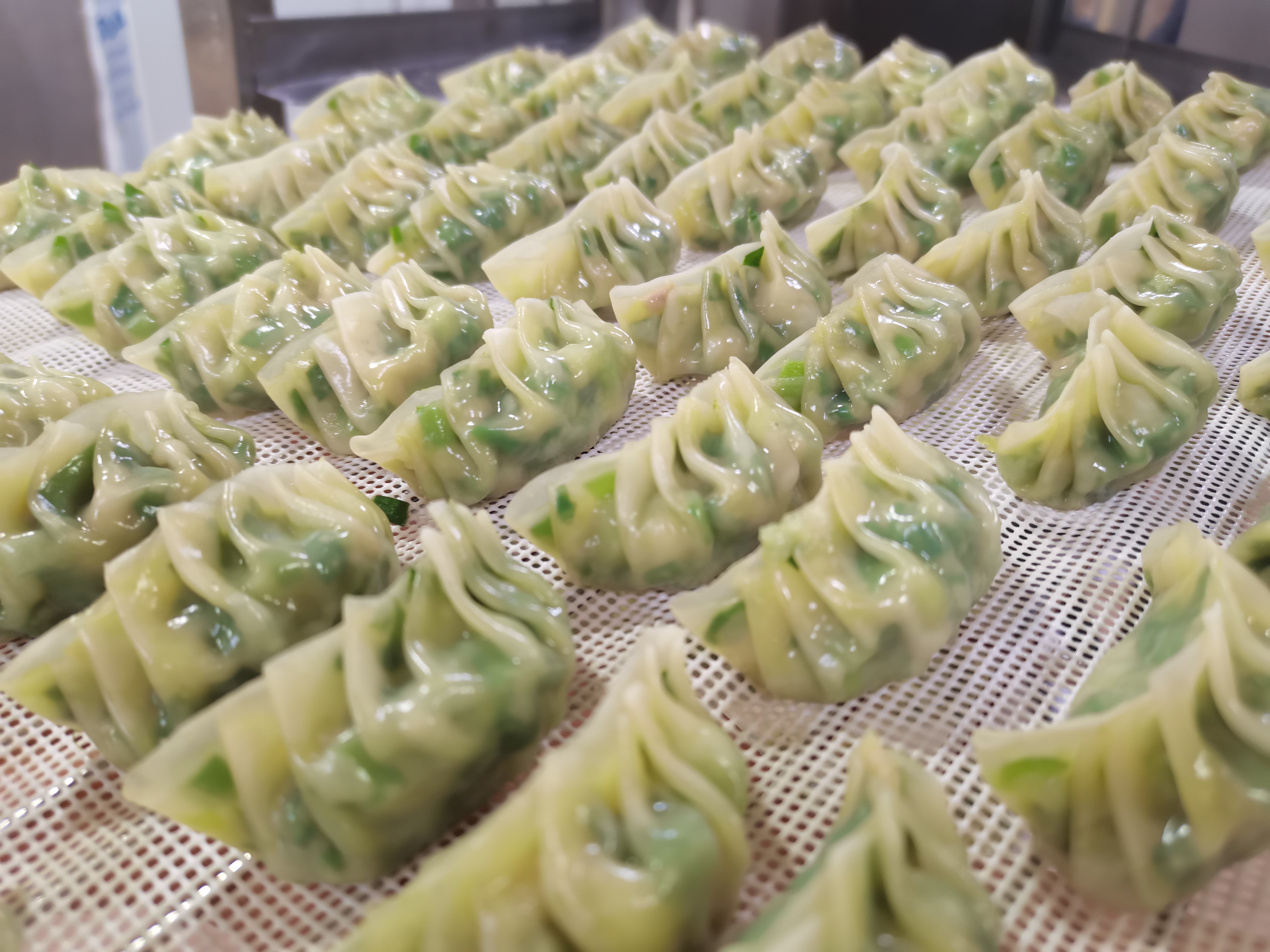 【手工饺子】新鲜土猪肉做馅，广东茶楼地道风味，源头厂家 现做现发
