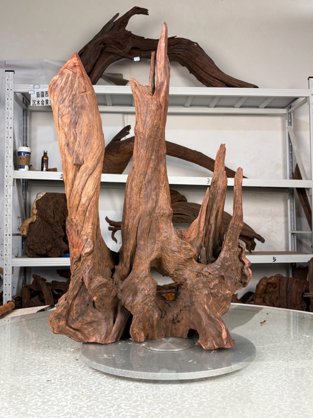 一物一拍鱼缸造景摆件沉木通体爆裂龟爬沉木造景