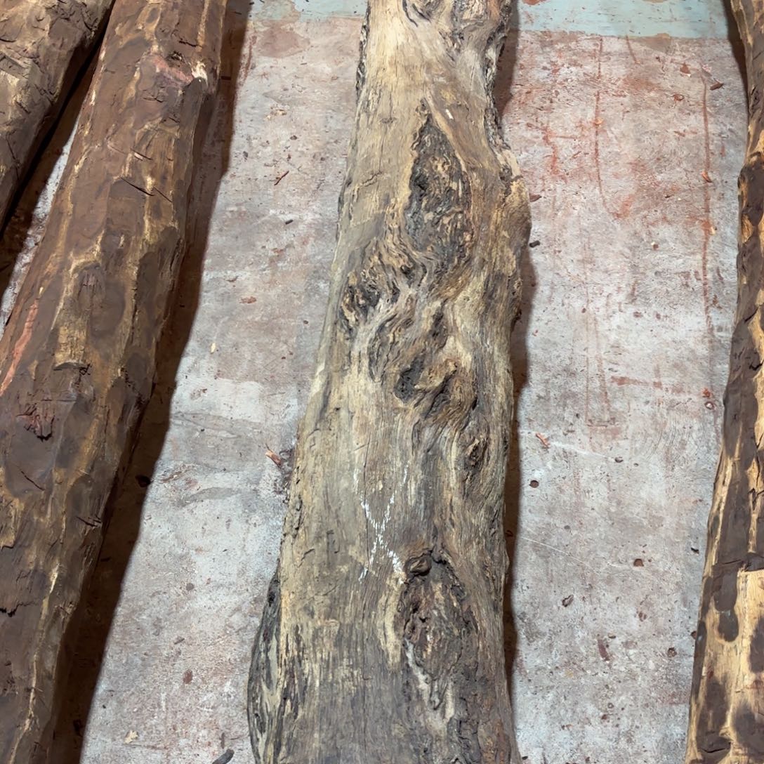 豹***9一物一拍血檀编码606