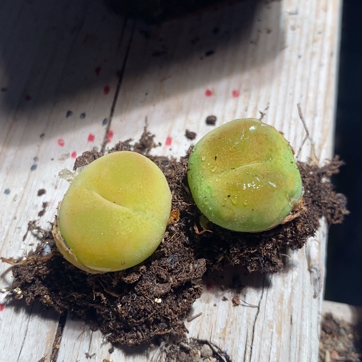 26301一组一组一组