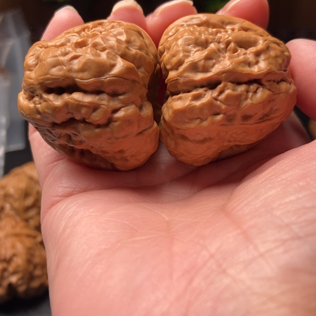 文玩核桃把件蛤蟆头39