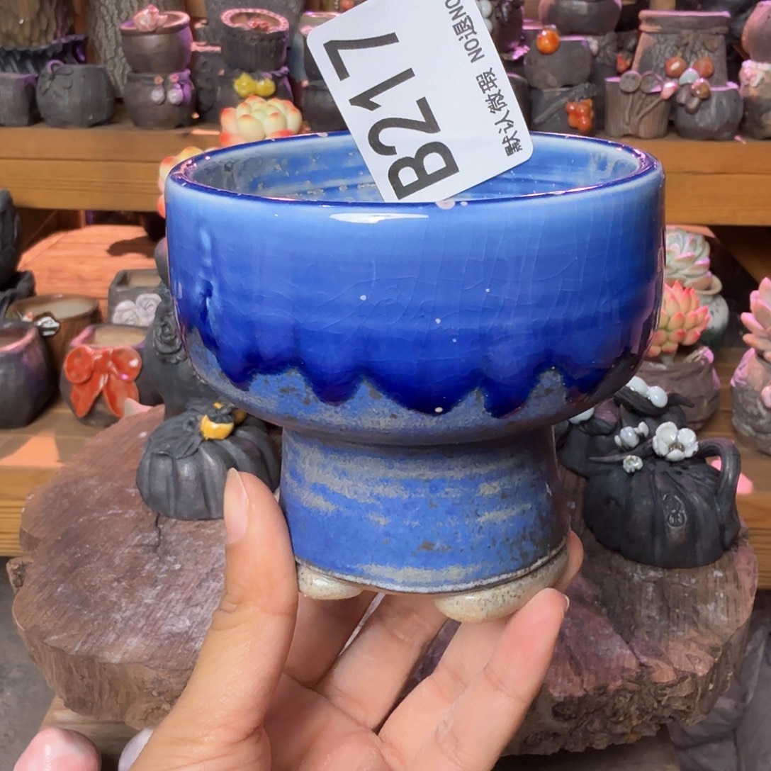 重庆小燕子欢迎大家217