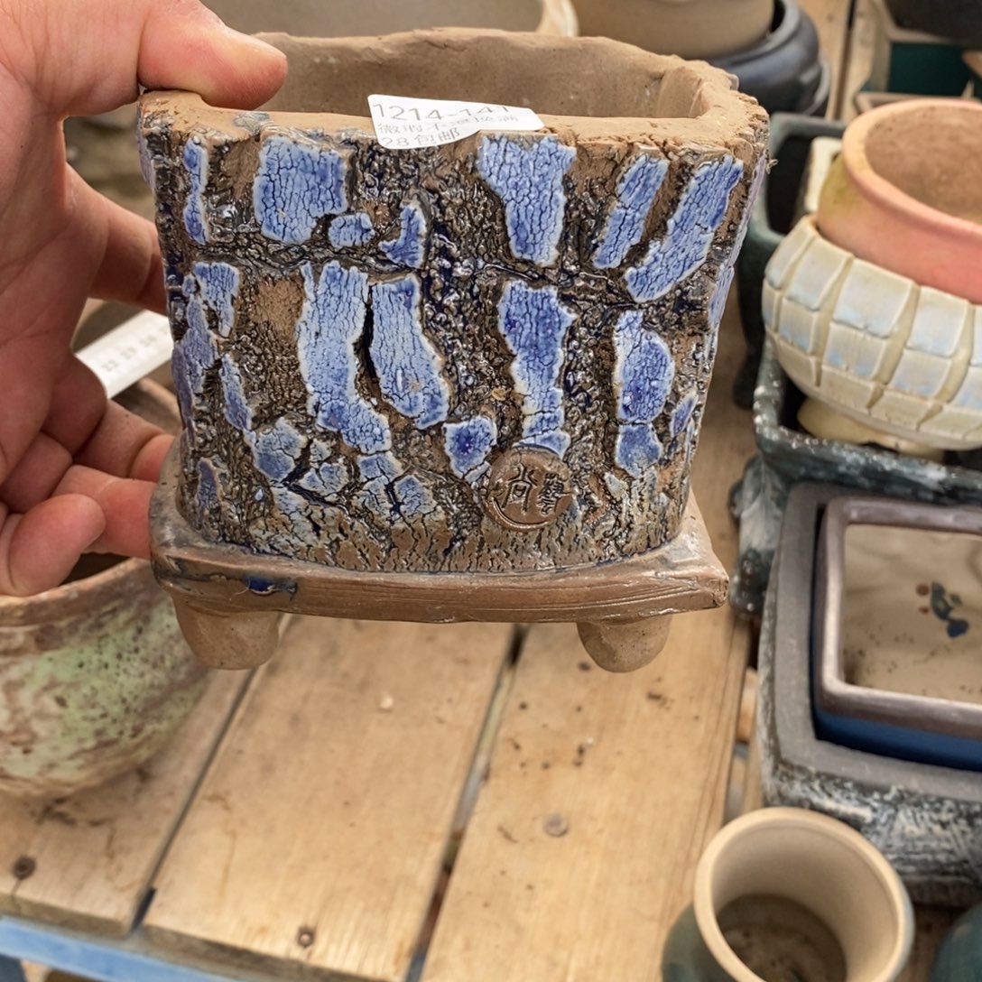 水***星141号花盆福利啦啦啊