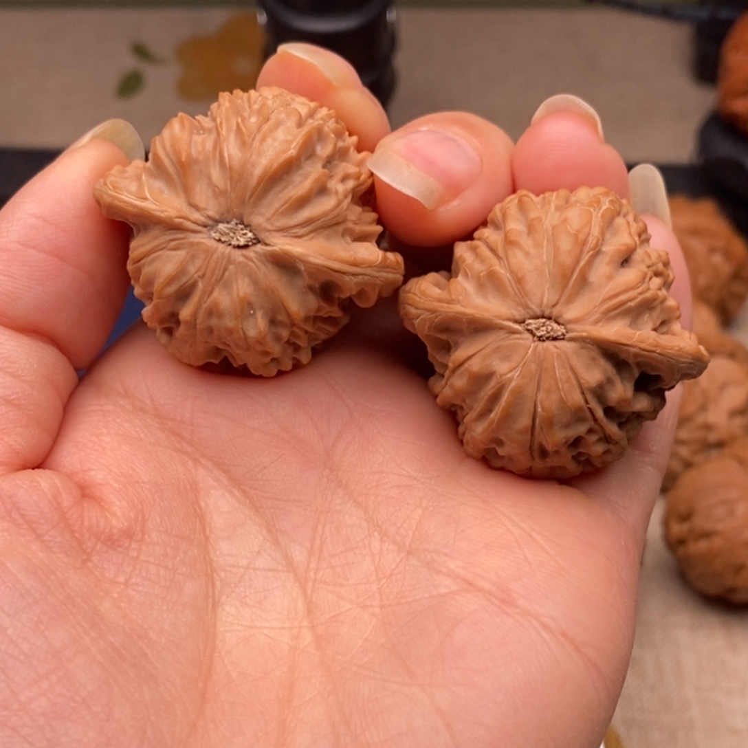 快***！把件文玩核桃磨盘