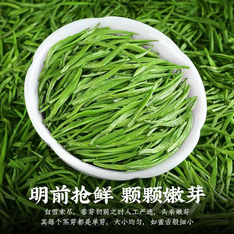 2025新茶雀舌绿茶茶叶500g