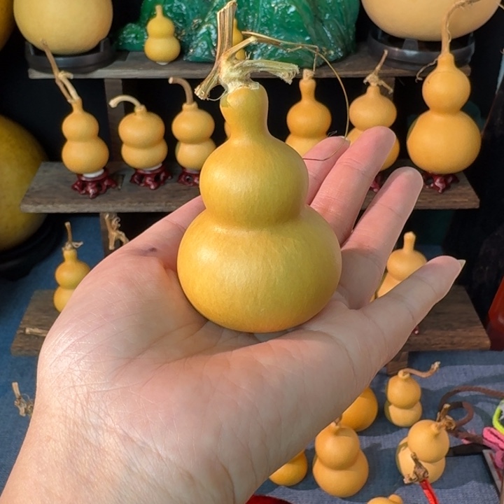 心***阳大叶紫檀（黑酸枝木类）