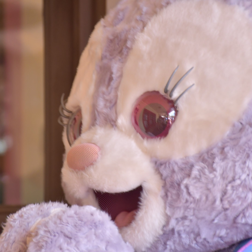 【3-24】米专拍链接