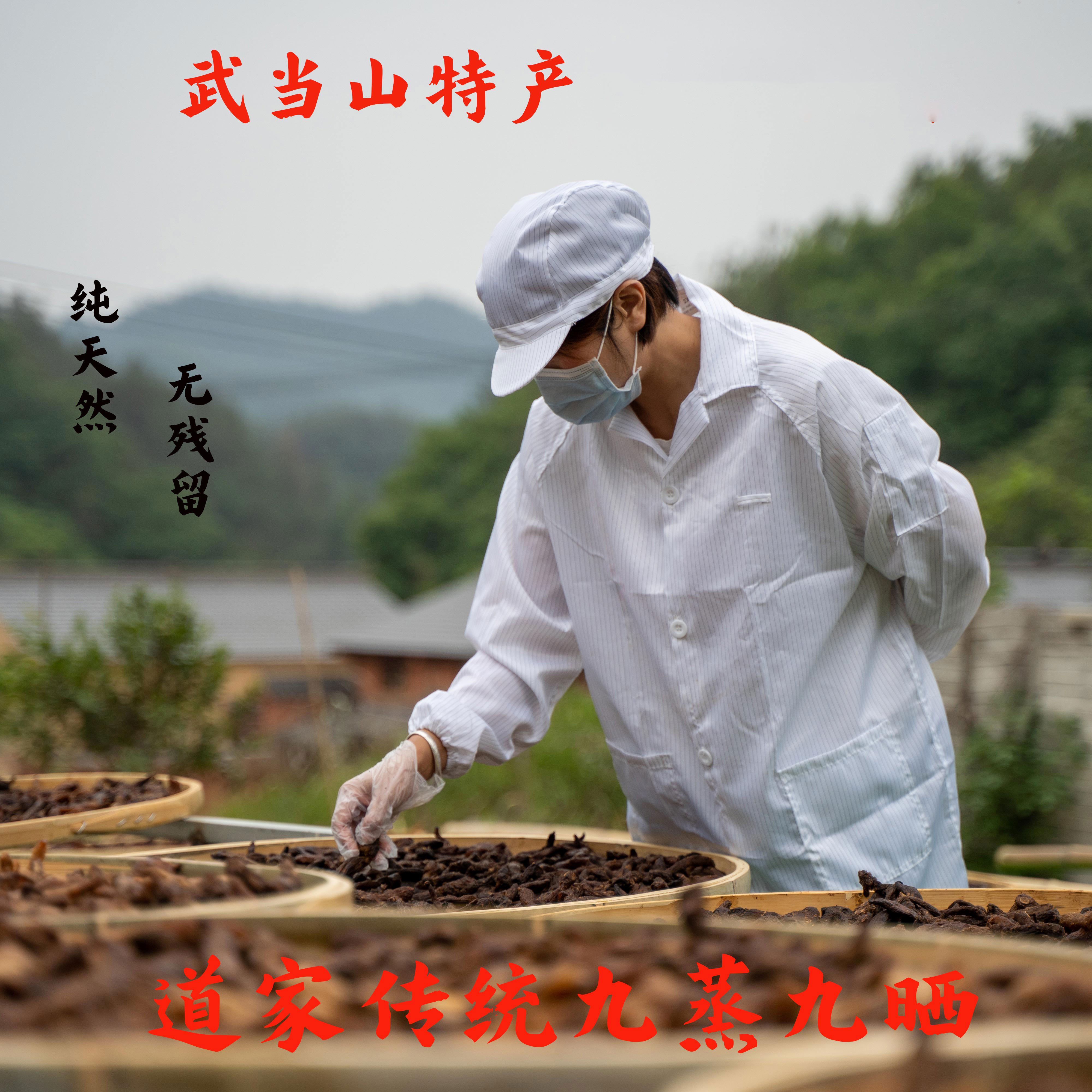 （钟学浩老师专属）武当山土灶自然阳光仙人余粮姜