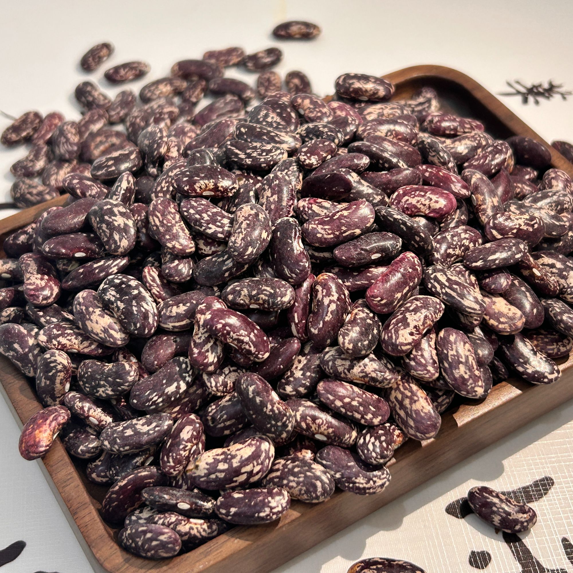 正宗彝良新花豆红豆颗粒饱满