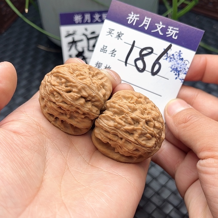 文玩核桃把件三角白37全品货头