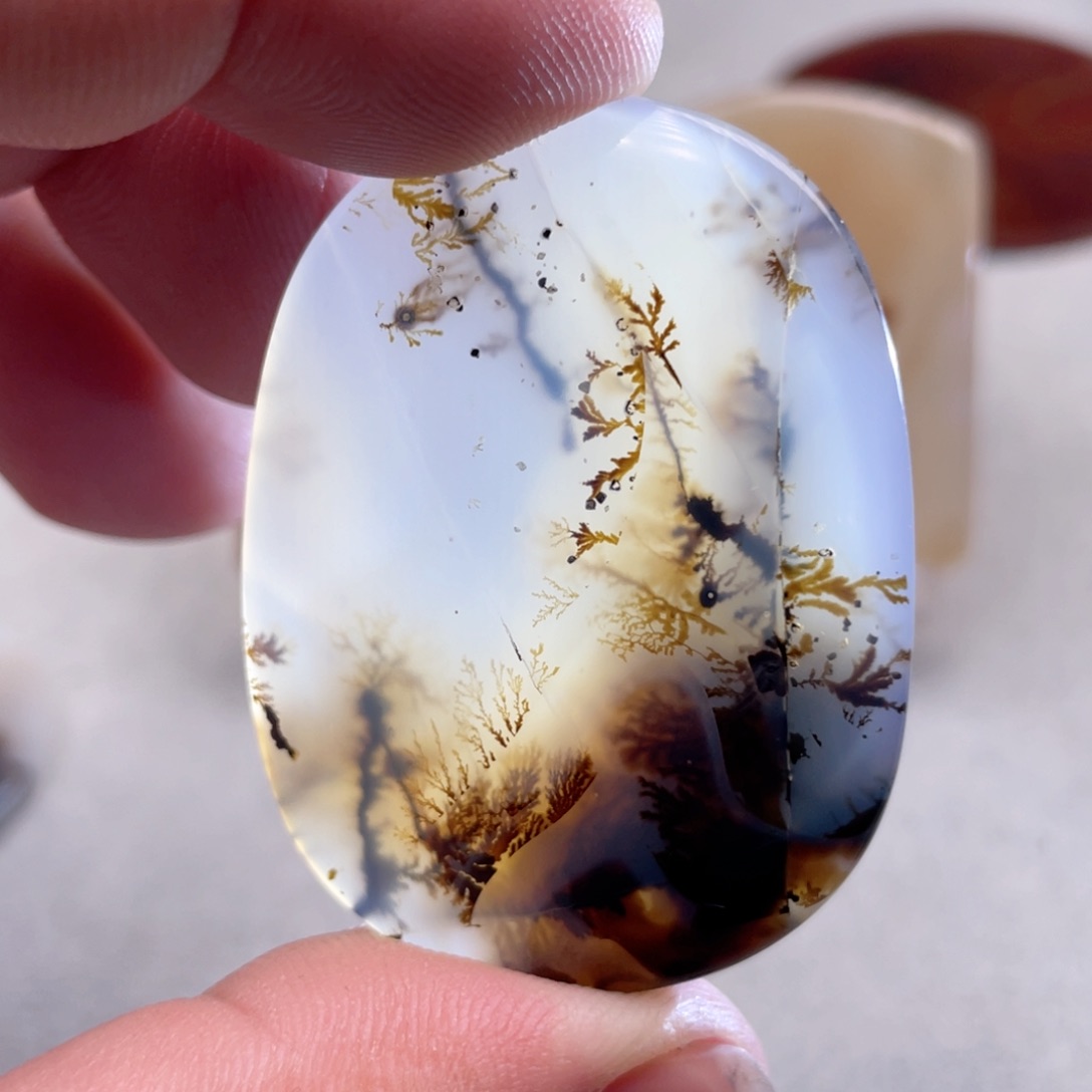 【闪购商品】玛瑙/玉髓颈饰合金