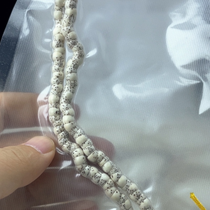 星月菩提把件卡六大肠