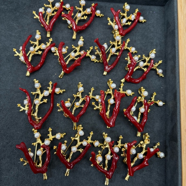 【胖爷珊瑚官方直营】天然红珊瑚原枝胸针吊坠两用多样性发其一